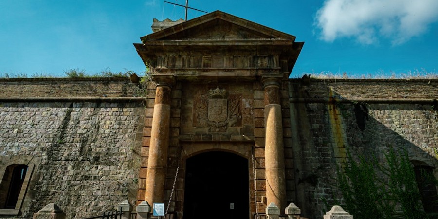 Image 3
