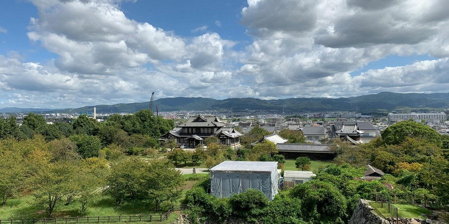 Image 0